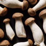 King Oyster Mushroom Recipes
