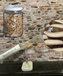 sporeless oyster mushroom