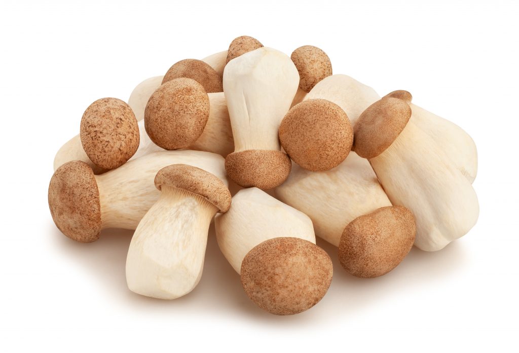 king oyster mushroom benefits