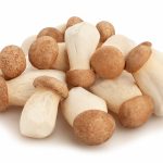 Fresh king oyster mushrooms
