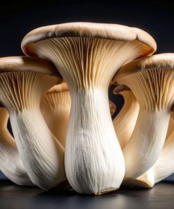 Fresh King Oyster Mushrooms